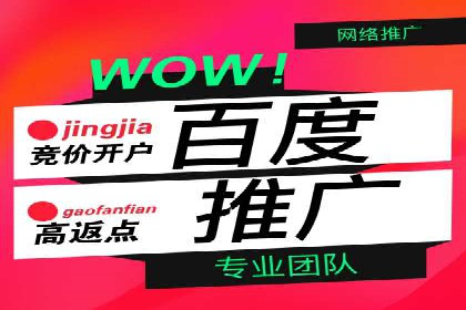 企业SEM托管代运营实战案例